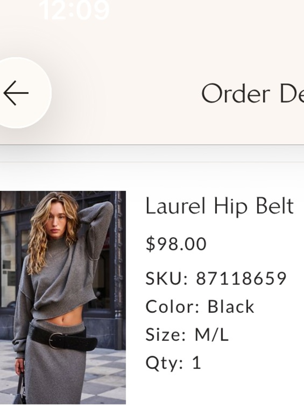 Free People Black Leather Laurel HIP BELT 
  Never worn L/XL BN no tags